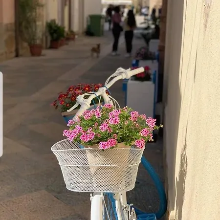 21 Lejlighed San Vito Lo Capo